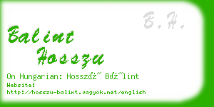 balint hosszu business card